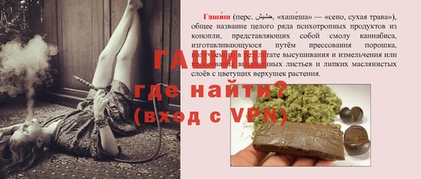 гидра Вязьма
